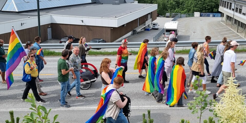Mennesker kledd i fargerike klær og regnbueflagg går langsveien i en parade