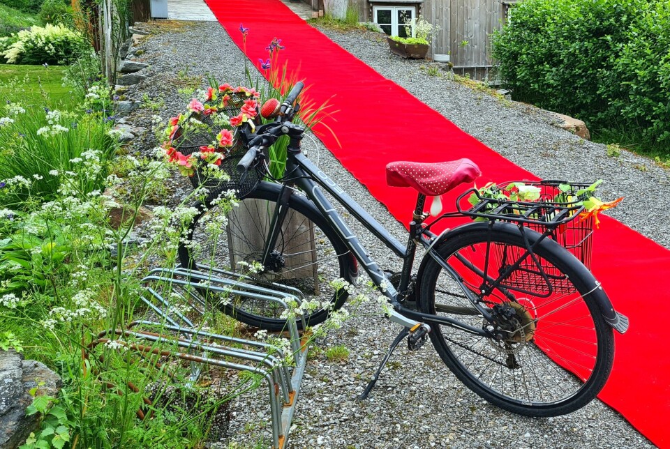 Inga sin sykkel, blomsterpynta og raud løpar til Dalalåven Atelier