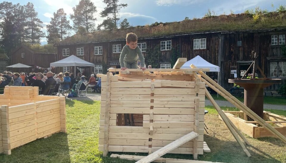 Gutt på laftehytte