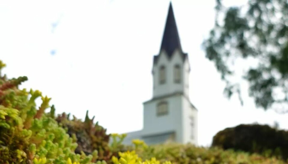 Gudsteneste i Rindalskyrkja Rindal kirke med blomstrende Bergknapp i front.