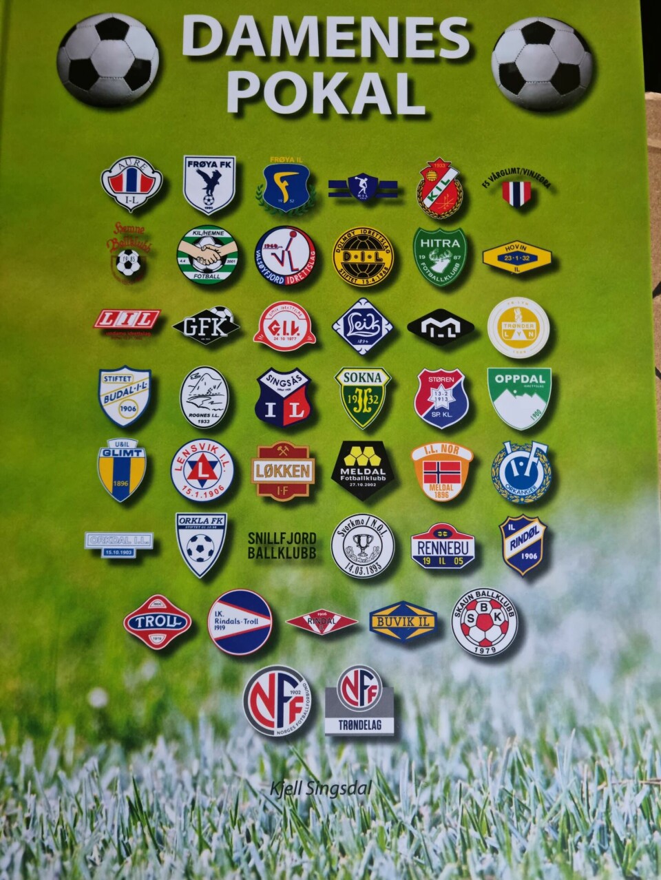Framsiden av en bok med mange logoer fra lokale lag
