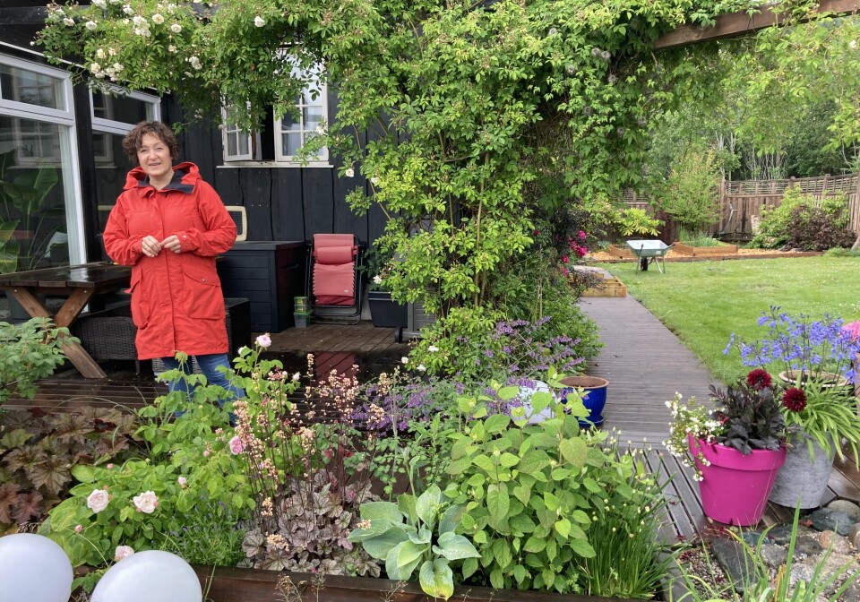 Ildri Skuggevik viser oss raust rundt i den flotte hagen sin på Glærum.
