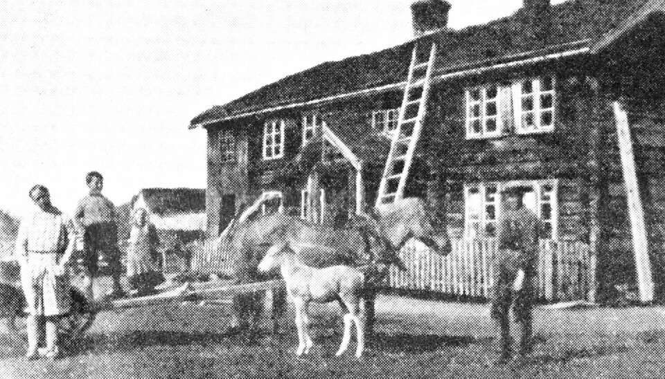 Et sort hvitt bilde av hester og mennesker foran et hus