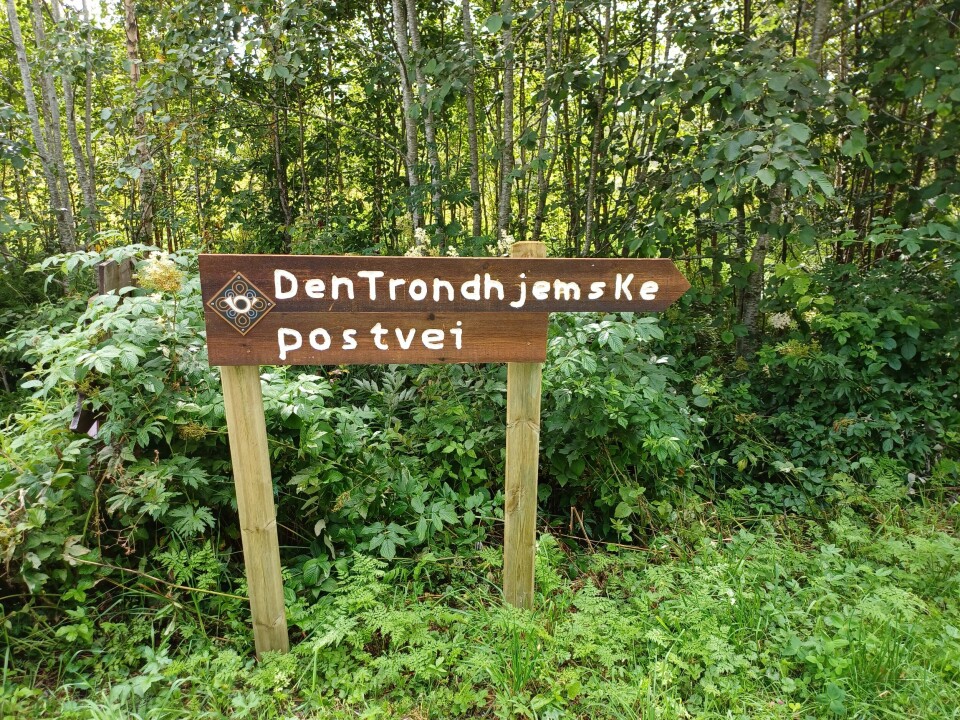 Et informasjonsskilt i tre hvor det står 'Den Trondhjemske postvei' ved en skog