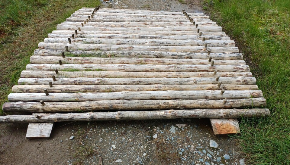 En bru laget av tømmer går ned en bakke