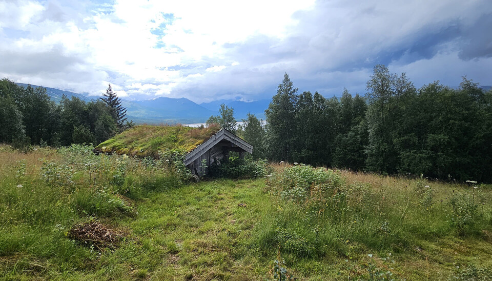 En hytte med torvtak ligger på en gresseng