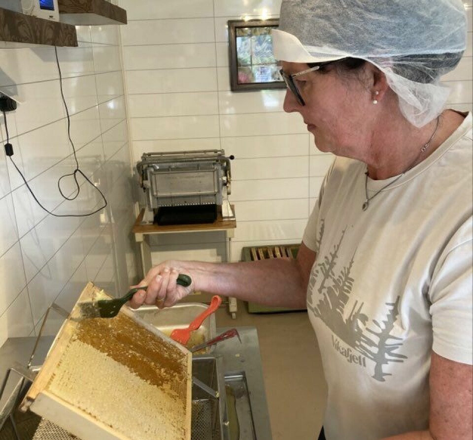 En dame med hårnett skraper voks av en tavle med honning