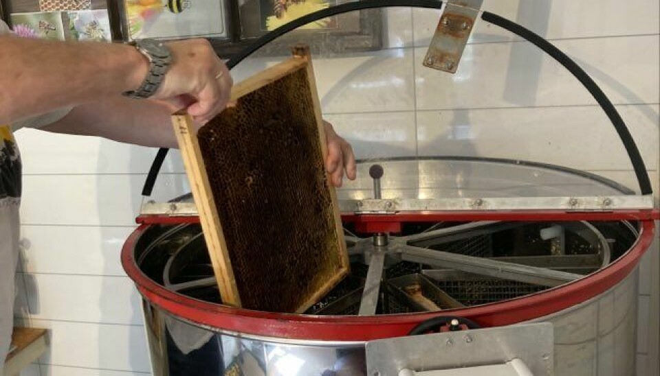 En mann setter en tavle med honning i en maskin som slynger honning