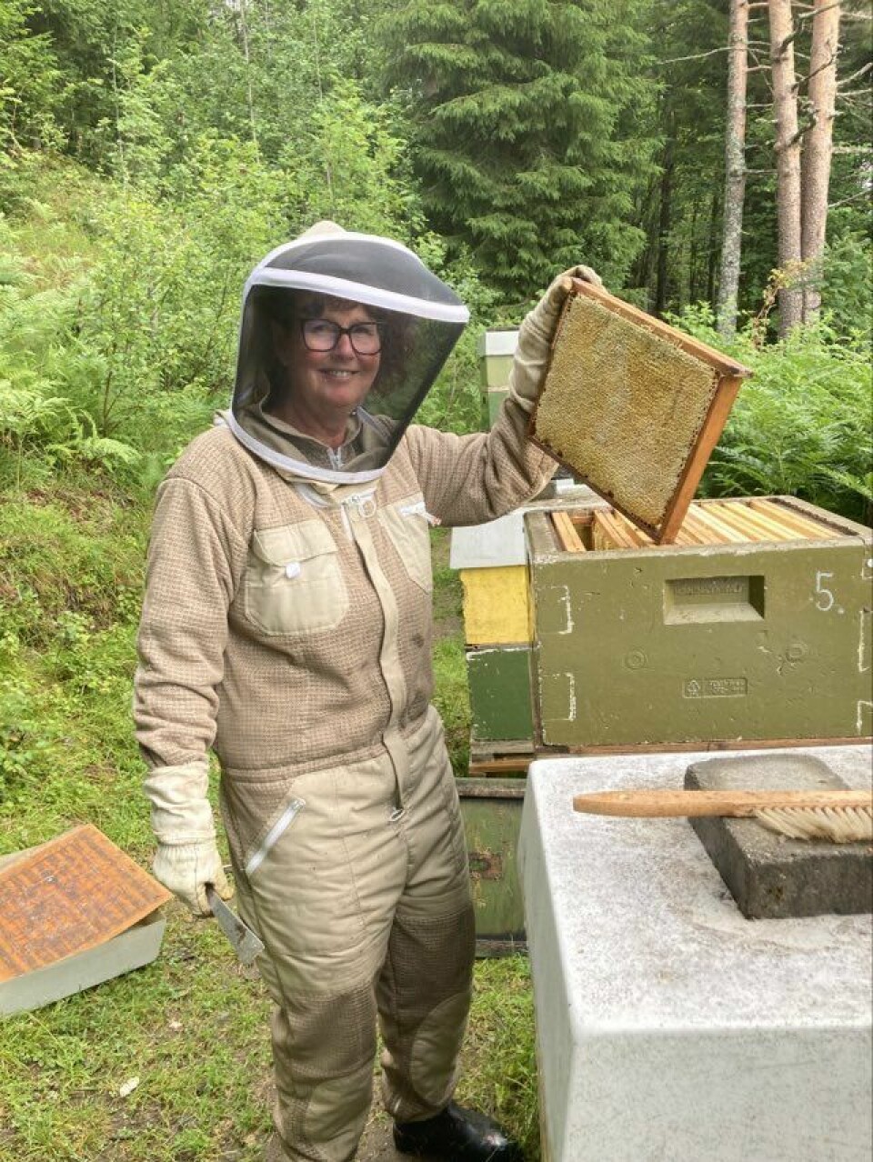 En dame henter ut honning tavler fra bikubene