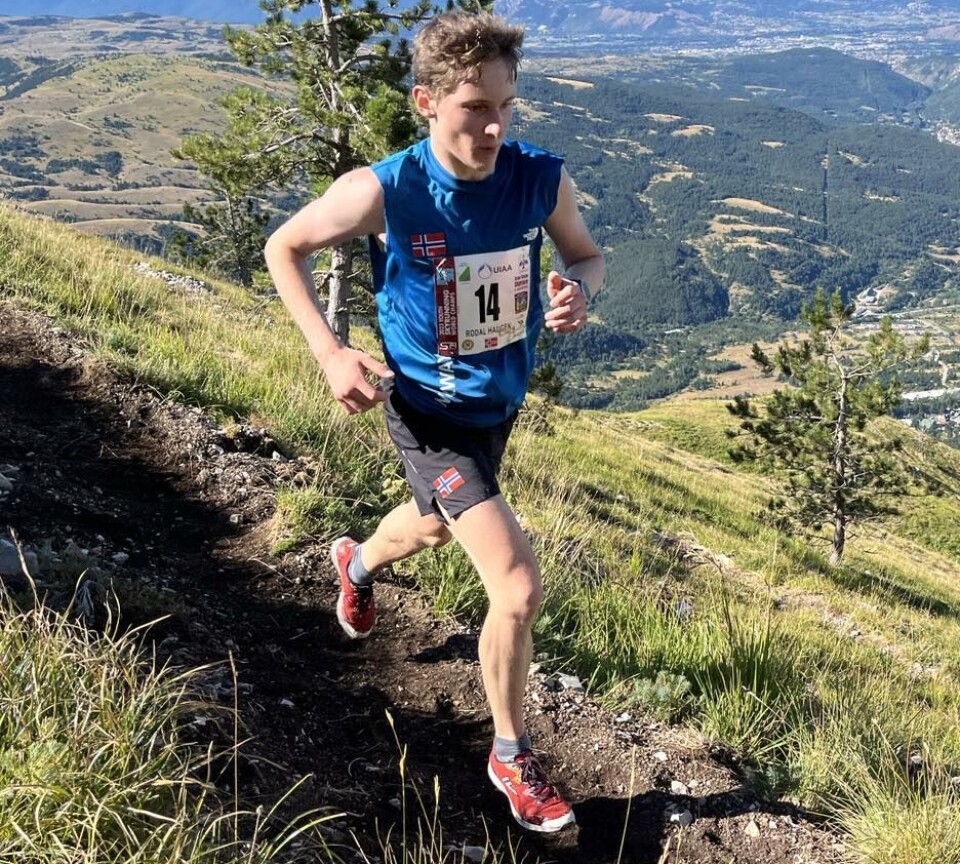Aron Rodal Haugen vant Melshornløpet i Volda i helgen. En ung gutt med startnummer som løper på en smal sti i ei fjellside.