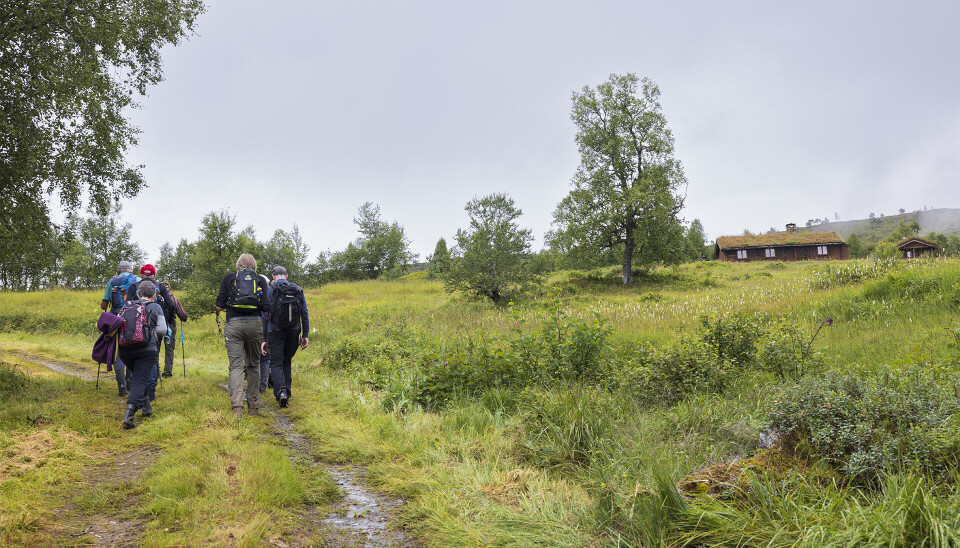 Mennesker går opp en li på vei mot ei seter