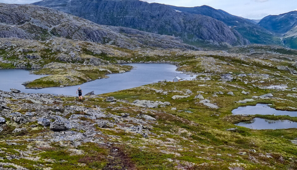 På et fjell med mange små vann og mye mose og lav