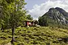 Hytte, skog og fjell.