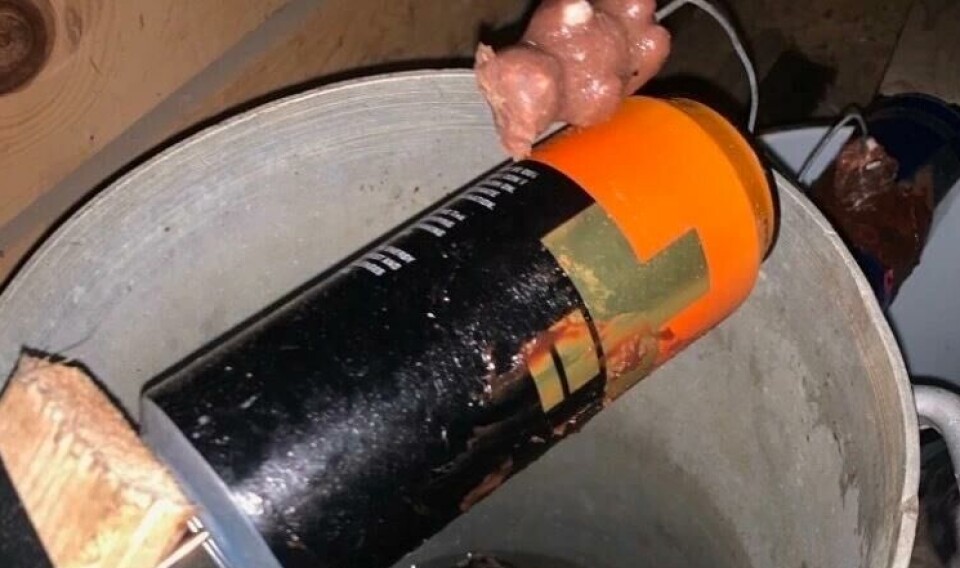 Den mye omtalte bøttefella. Bøtte med en klosse, boks og bamsemums. Væske i bøtta med mange mus.