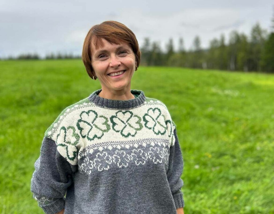En kvinner står på gresset kledd i en grå ullgenser med logoen til senterpartiet i mønsteret på genseren. Logoen er en grønn firkløver