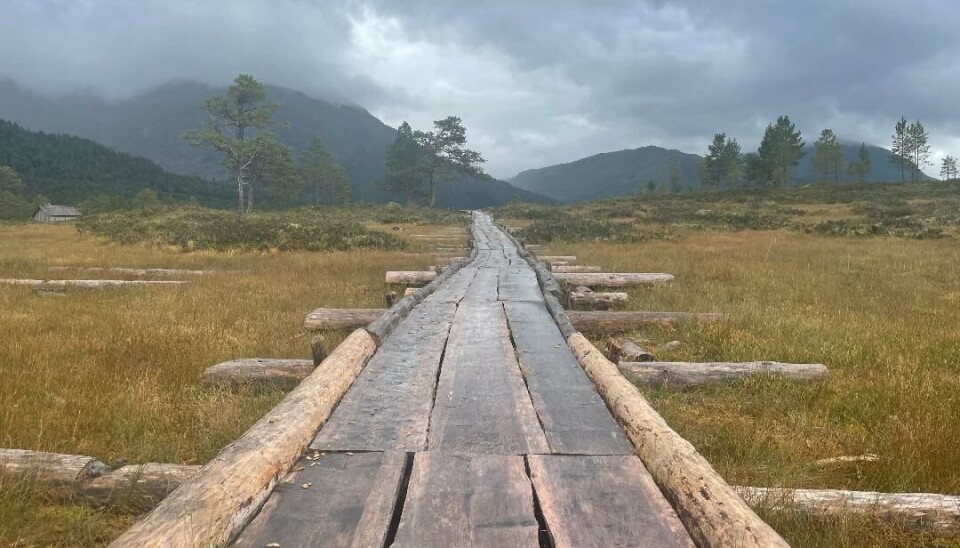Kavlvegen Sti av trestokker på en myr.