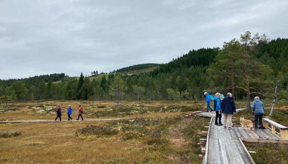 Mennesker på sti av treplanker.