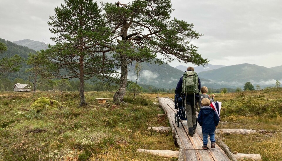 Mann med barnevogn, to gående barn. I skogen på en sti av tre.