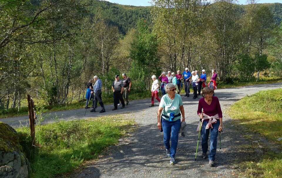 Stavgang til Svorka i Bøverdalen 20. juni Ei gruppe pensjonister på tur. Noen med gåstaver.
