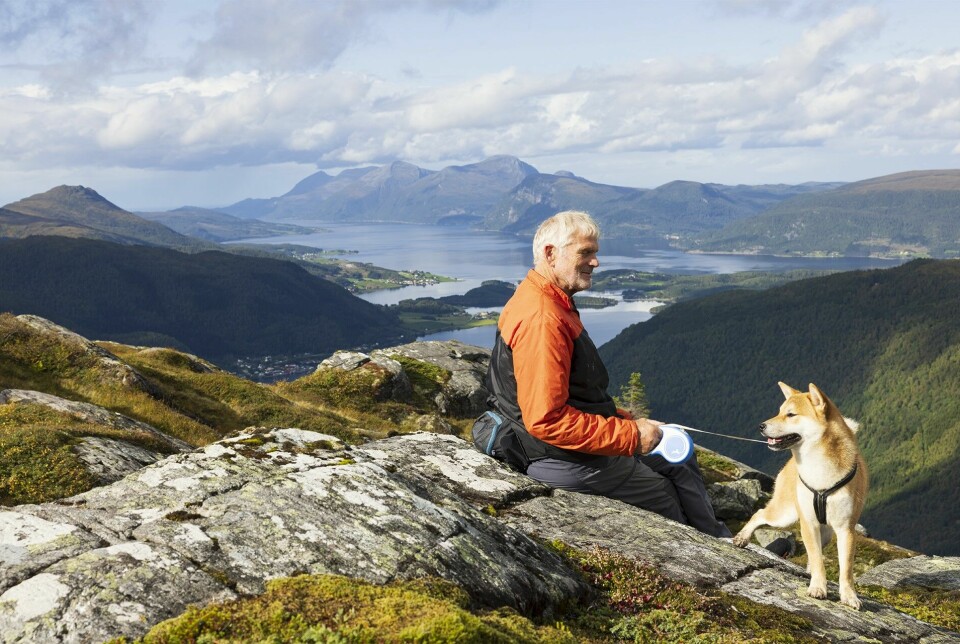 Mann og hund på fjellet