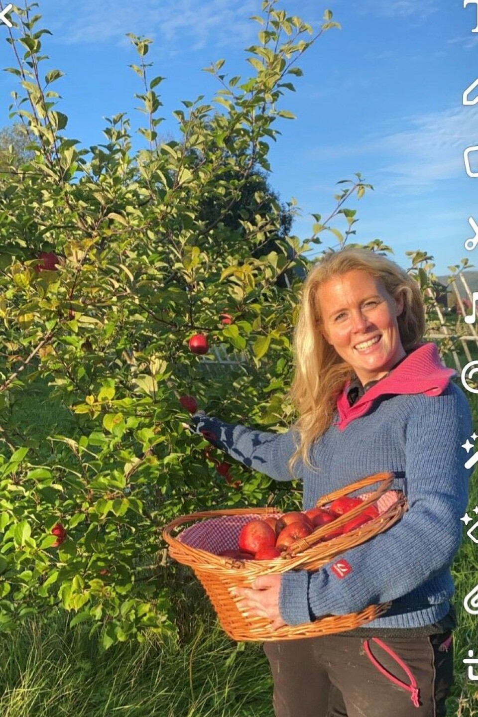Eplesesong på Lia Gard.