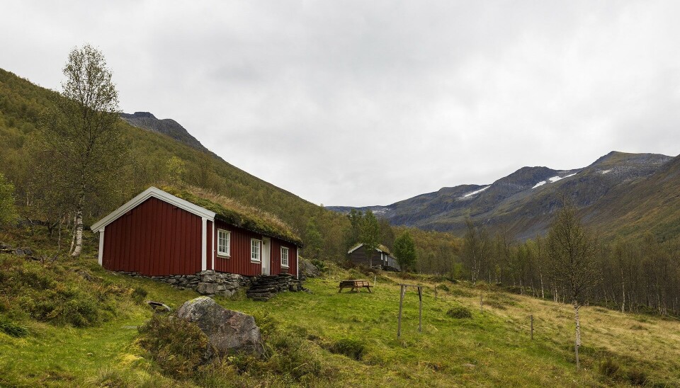 Holtasetra og Klokkargardssetra. Setre i dalen. Gress. Fjell i bakgrunnen.