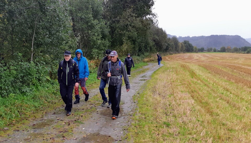 Ei gruppe turkledde personer som går på en sti langs et  jorde.