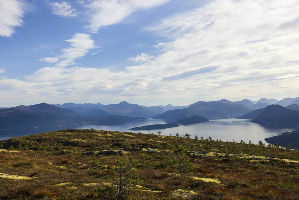 Utsikt over fjord og fjell.