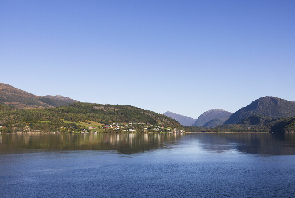Utsikt over fjorden.