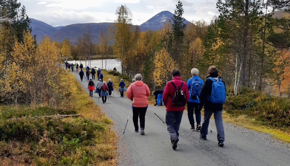 Stavgang til Krokvassdalen torsdag - Velkomne til ny sesong! Ei gruppe turkledde pensjonister som går på en grusvei.