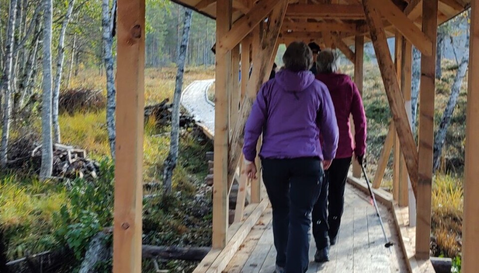 To mennesker går på en oppbygd sti av materiale med tak over