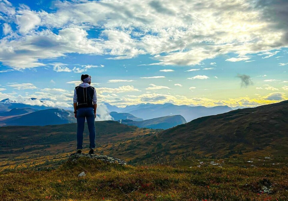 Syltnebba etter jobb En dame står på en stein i lyngen på et fjell med solnedgang og blå himmel med fjell rundt