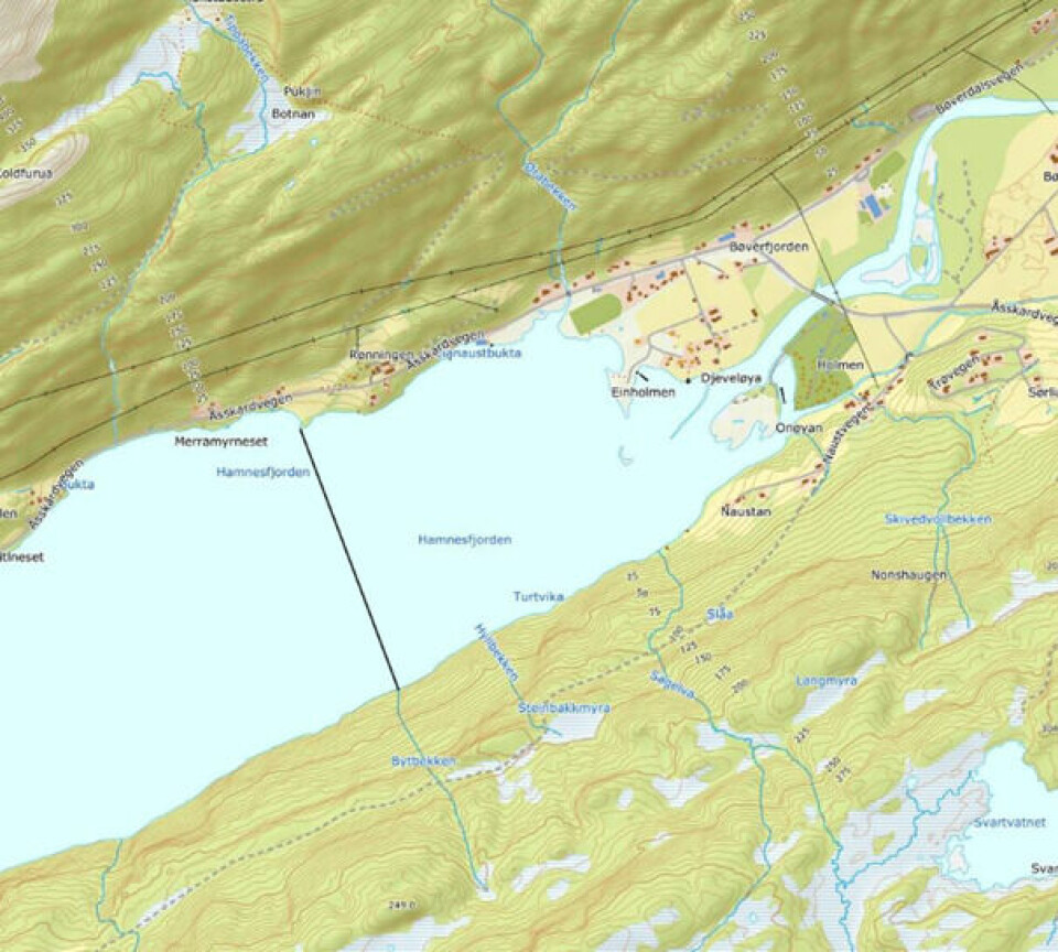 Kart over utløpet av Bævre i Surnadal kommune