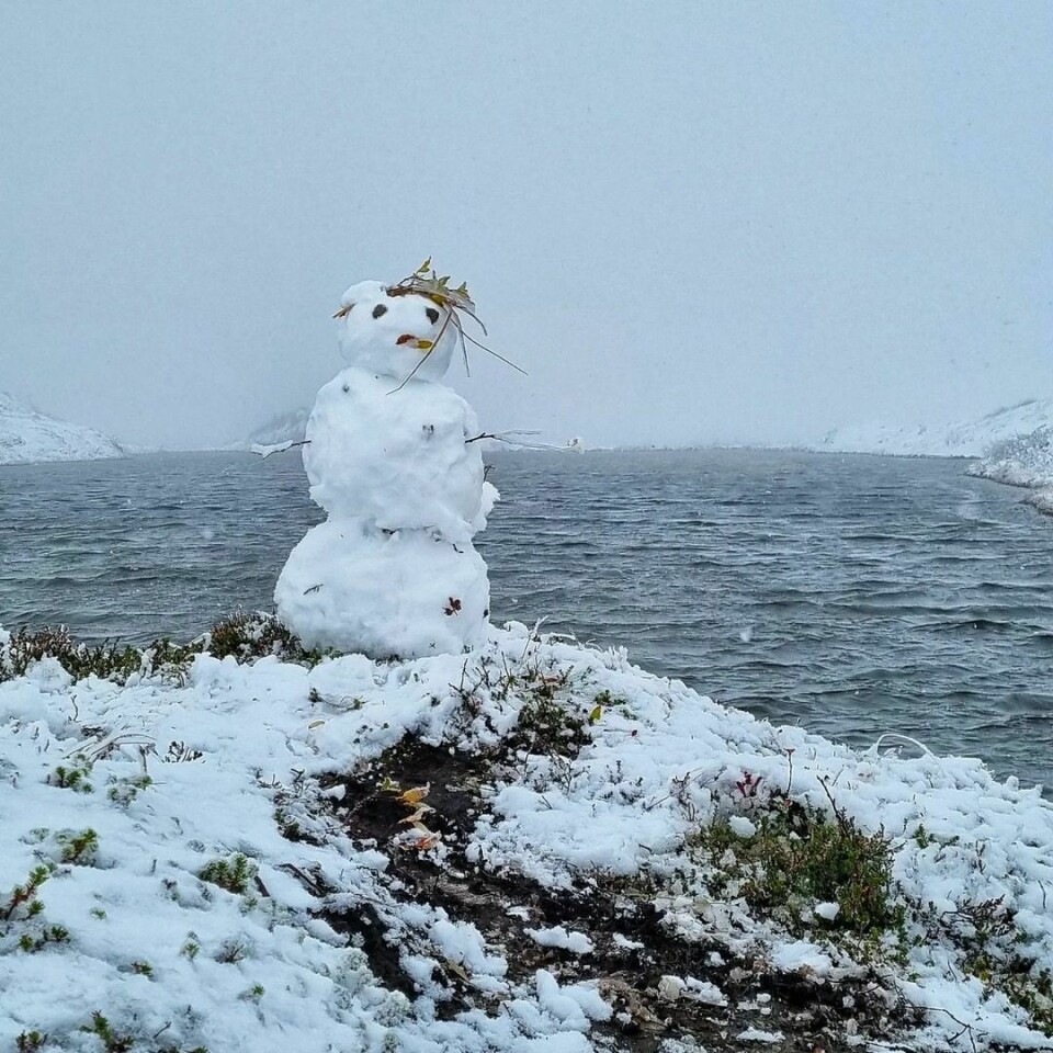 En snømann med høstblader på seg ved sjøen, man ser gresset der snømannen har samlet opp snøen fra.