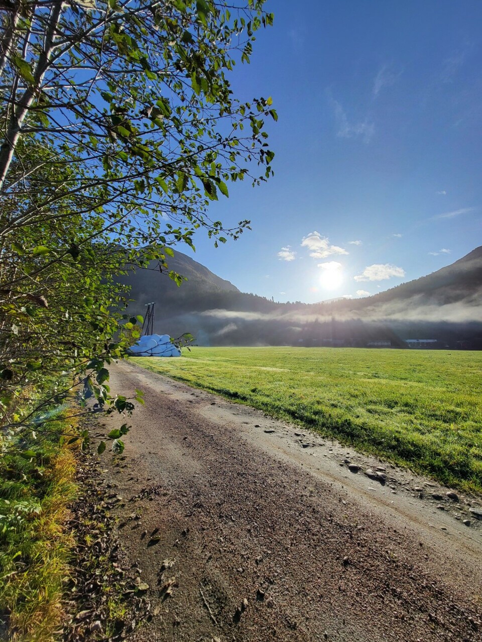 Nydelig dag på Kveinnbønå 11. oktober. Grusvei, gress, tre, fjell og sol.