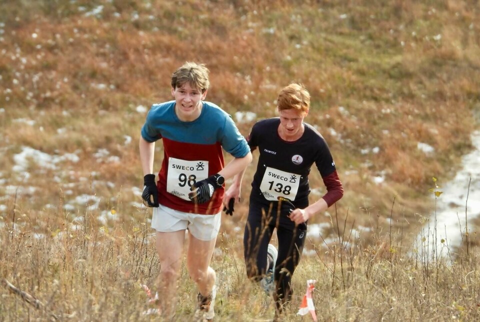 To menn med startnummer på brystet som løper på en sti på fjellet.