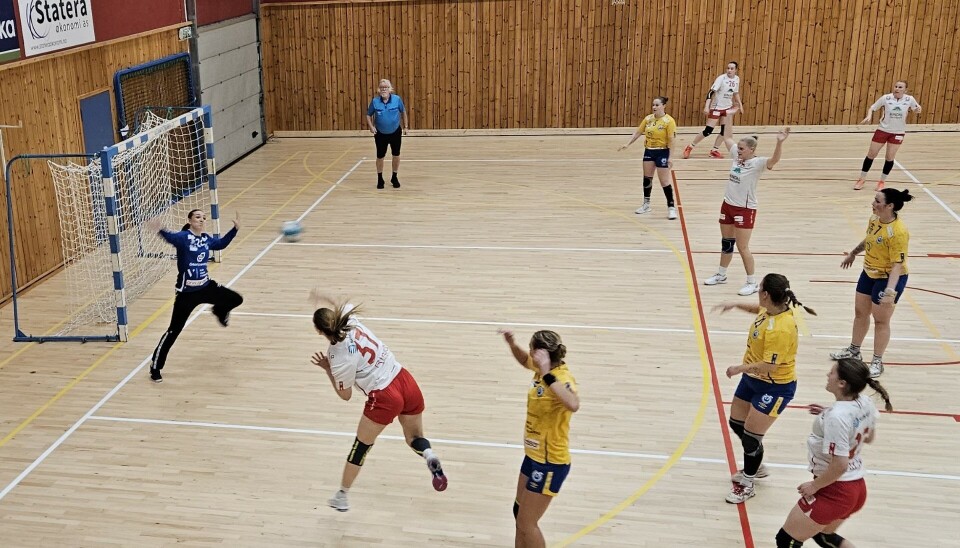 Håndballkamp