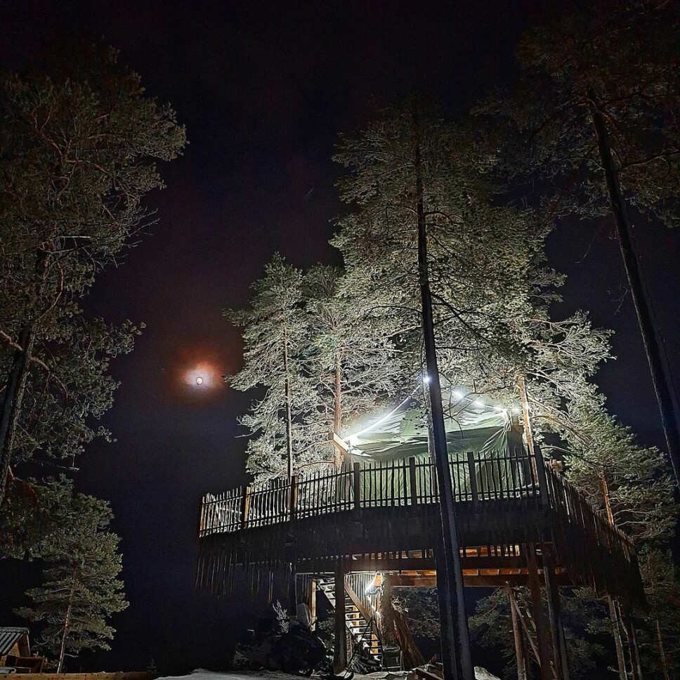 Snødekte trær i mørket med en hytte i trærne