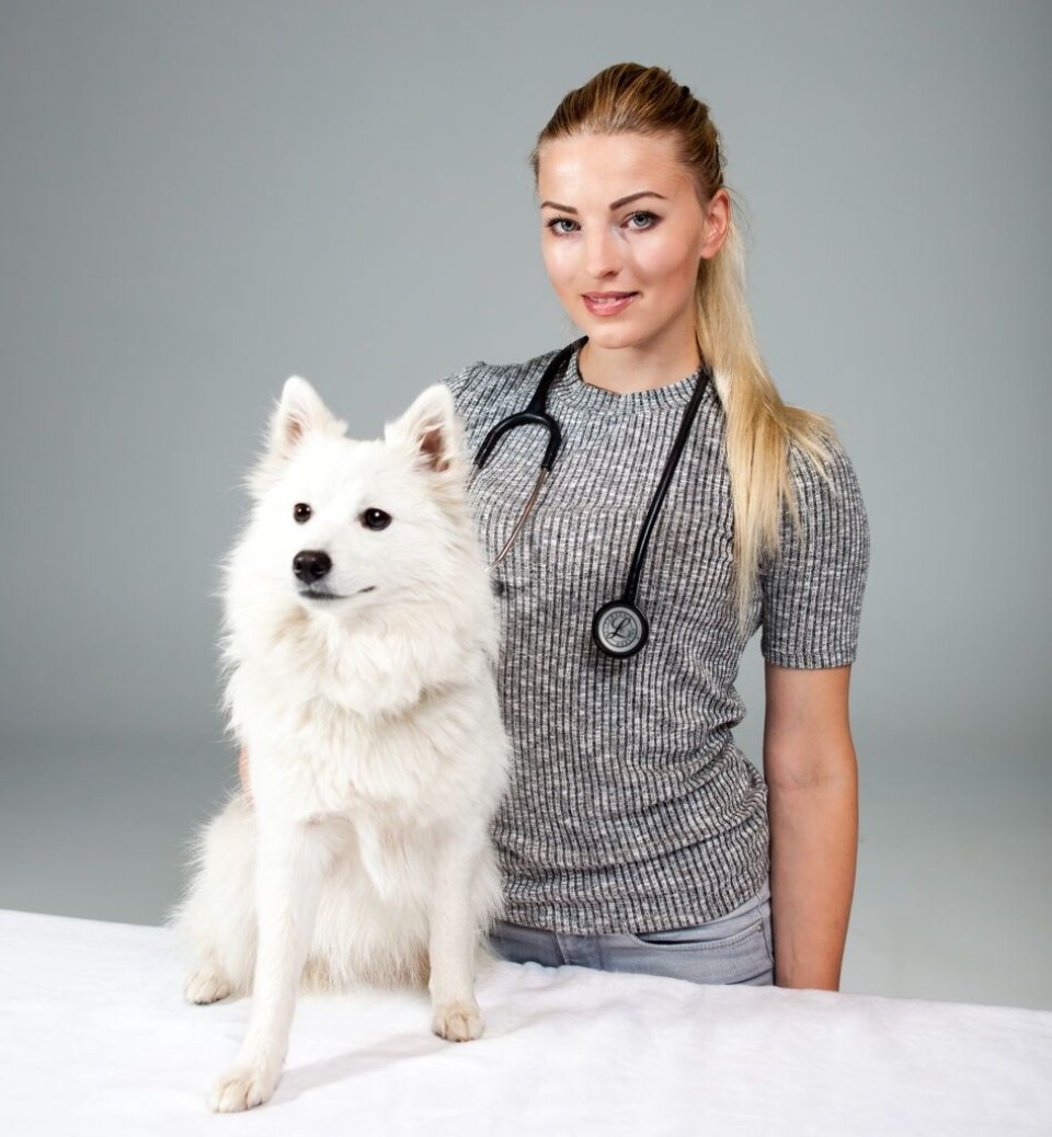 Aja Nafstad, veterinær.