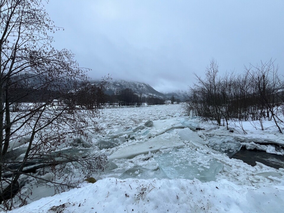 I Almebergskleiva. Lenger oppe var elva åpen.