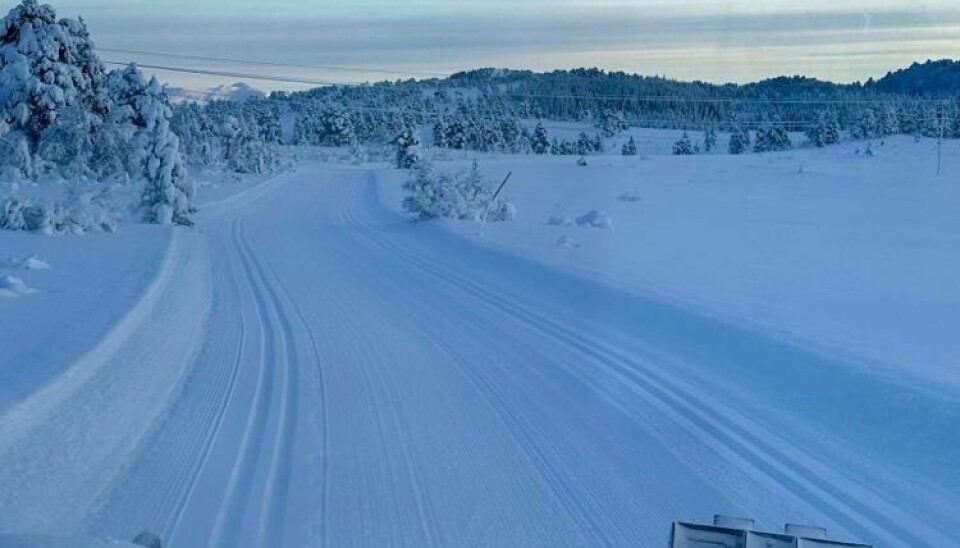 Et nyoppkjørt skispor.