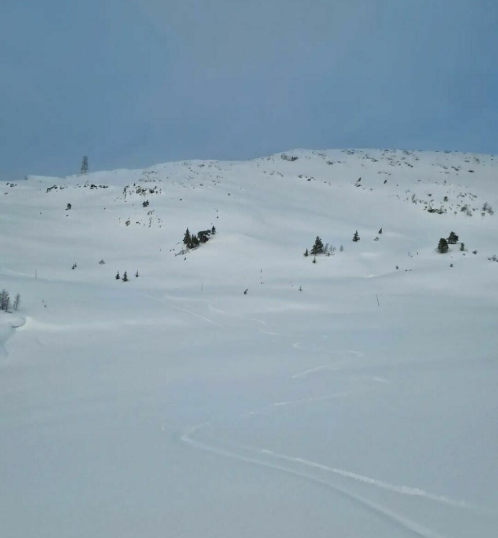 Et hvitt fjell med trær innimellom og skispor