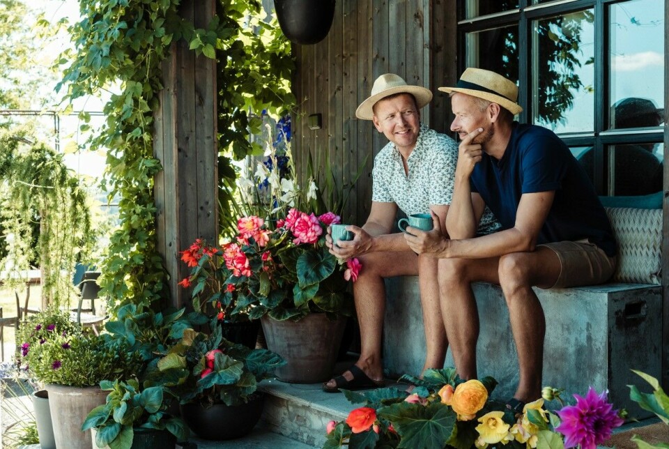 To menn med hatt sitter på en benk med masse blomster rundt seg