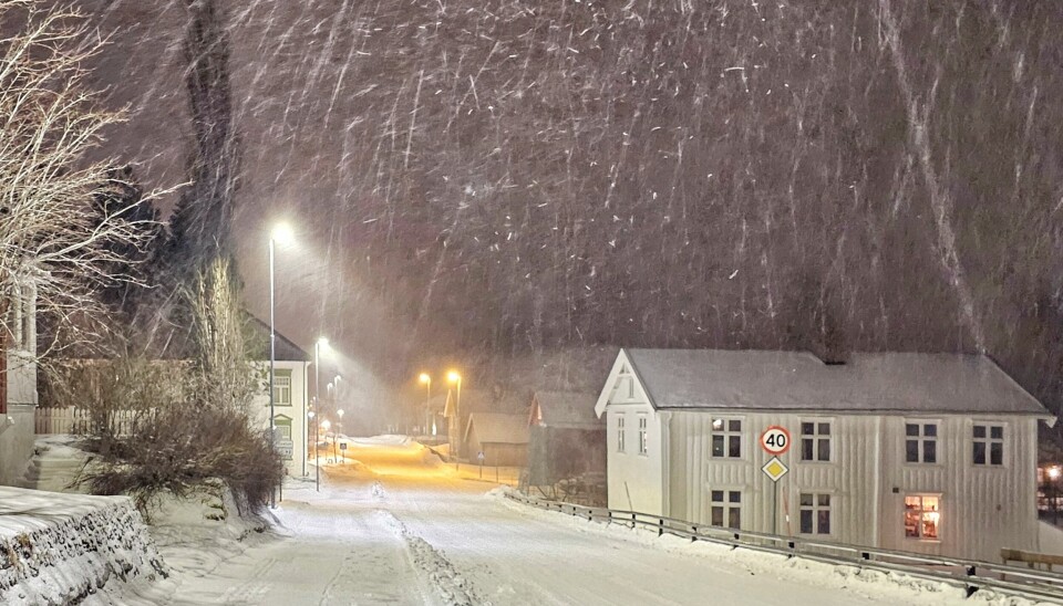 Bilde av snøvær i morgenmørkret, med nybrøytet vei og gangvei opplyst av gatelyset