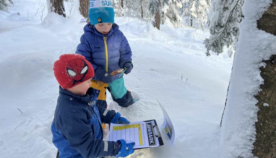 barn løser poster ute i snøen
