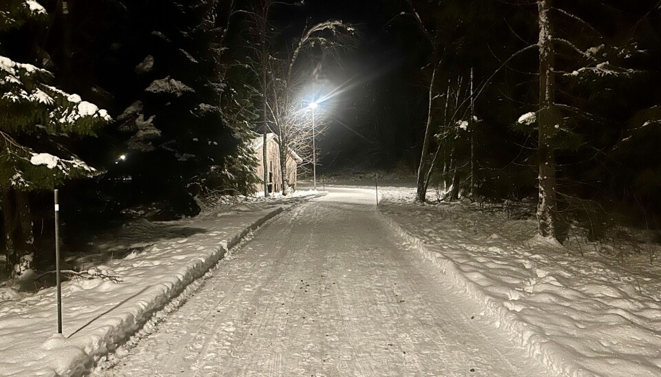 Brøytet gangvei opplyst med gatelys.