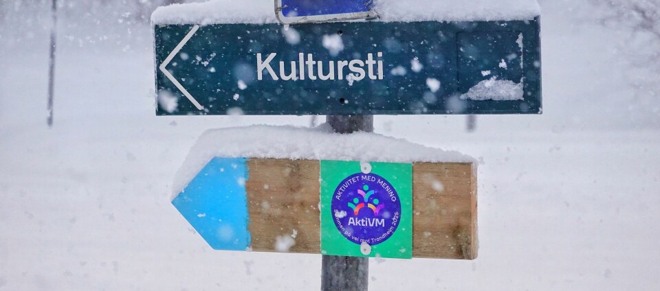 under et gang- og sykkelveiskilt, henger et skilt med tekst 'kultursti' og et med AktiVM-logol