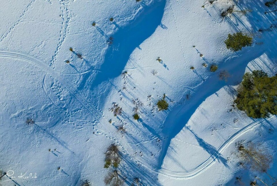 Bilde tatt ovenfra med skispor på bakken
