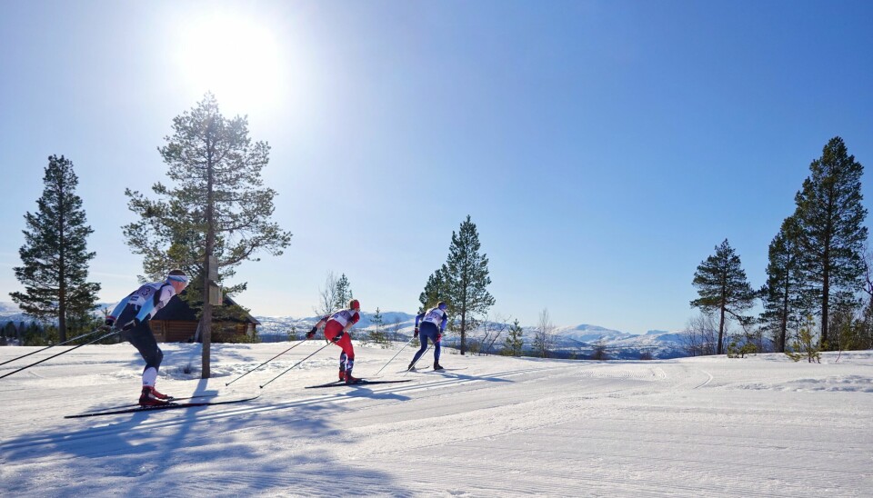 Tre skiløpere staker seg mot første nedoverbakke på ei stund.