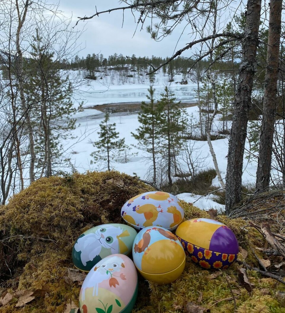 5 påskeegg ligger på bakken ute